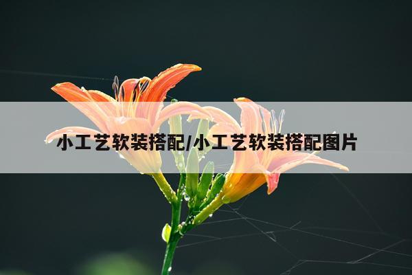 小工艺软装搭配/小工艺软装搭配图片