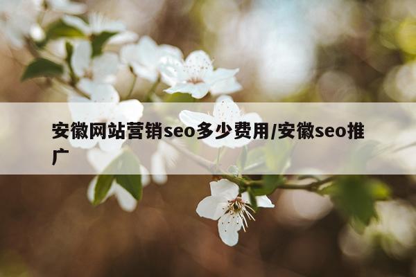 安徽网站营销seo多少费用/安徽seo推广