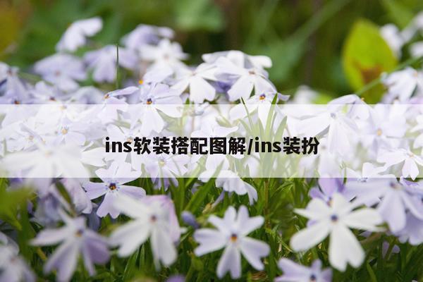 ins软装搭配图解/ins装扮