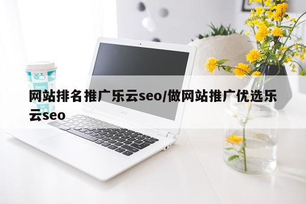 网站排名推广乐云seo/做网站推广优选乐云seo