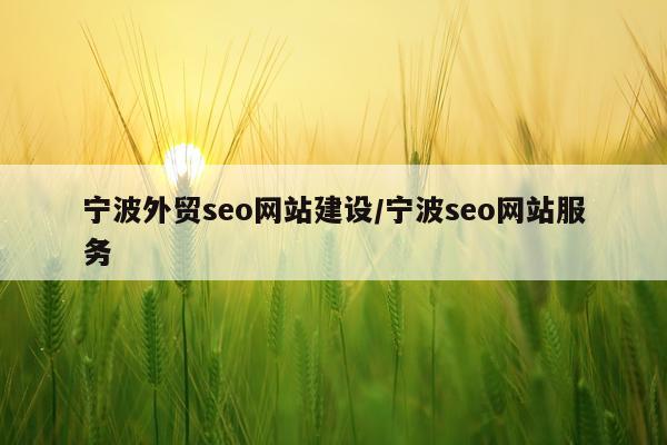 宁波外贸seo网站建设/宁波seo网站服务