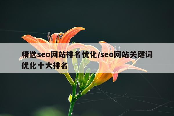 精选seo网站排名优化/seo网站关键词优化十大排名