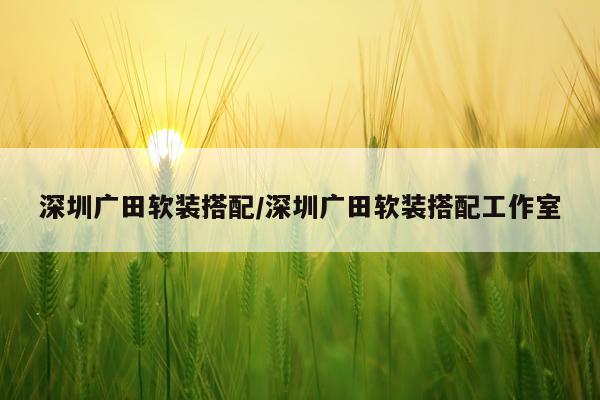 深圳广田软装搭配/深圳广田软装搭配工作室