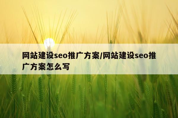 网站建设seo推广方案/网站建设seo推广方案怎么写