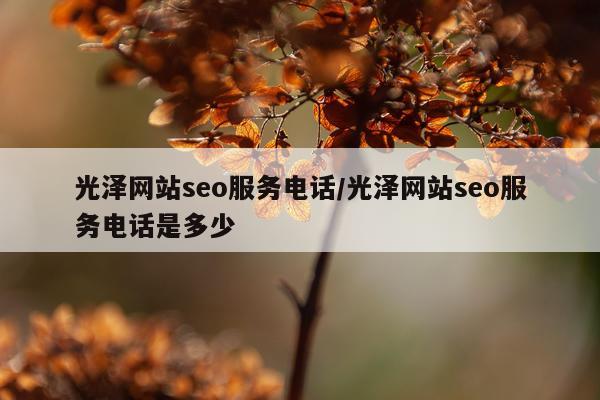 光泽网站seo服务电话/光泽网站seo服务电话是多少