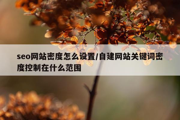 seo网站密度怎么设置/自建网站关键词密度控制在什么范围