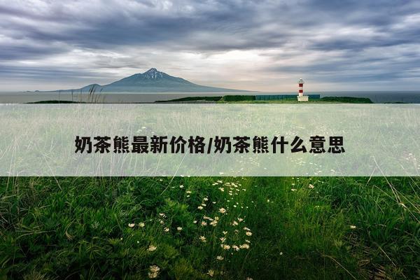奶茶熊最新价格/奶茶熊什么意思