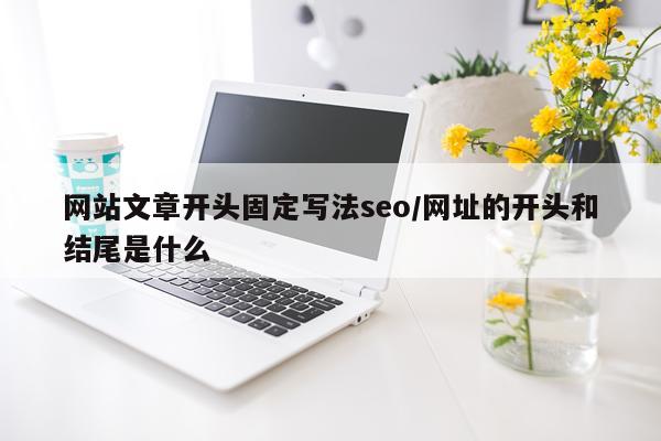 网站文章开头固定写法seo/网址的开头和结尾是什么