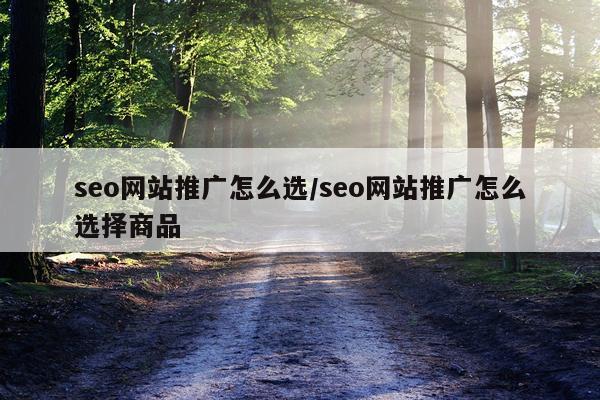 seo网站推广怎么选/seo网站推广怎么选择商品