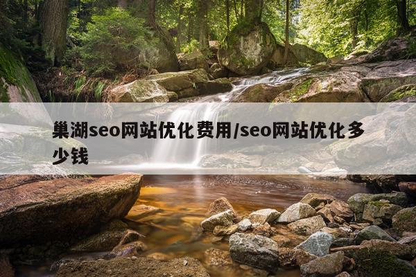 巢湖seo网站优化费用/seo网站优化多少钱