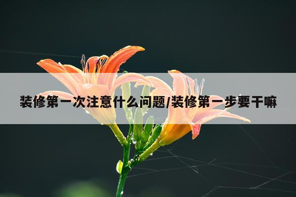 装修第一次注意什么问题/装修第一步要干嘛