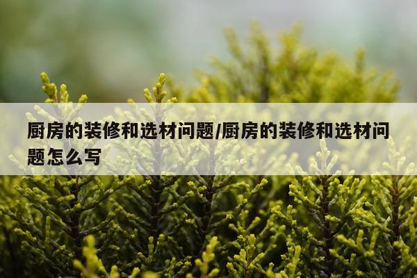 厨房的装修和选材问题/厨房的装修和选材问题怎么写