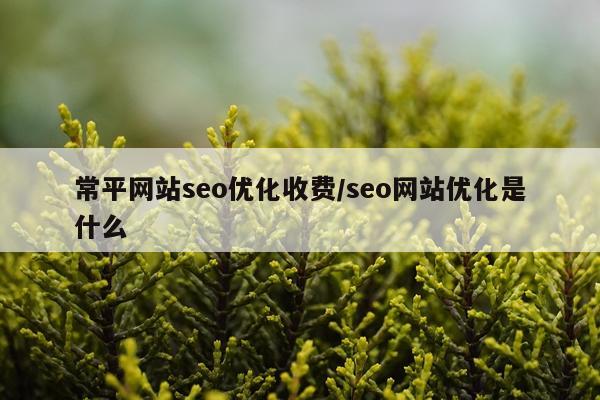 常平网站seo优化收费/seo网站优化是什么