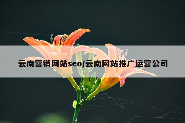 云南营销网站seo/云南网站推广运营公司