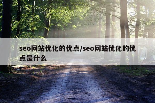 seo网站优化的优点/seo网站优化的优点是什么