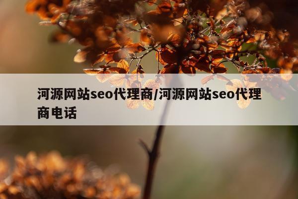 河源网站seo代理商/河源网站seo代理商电话
