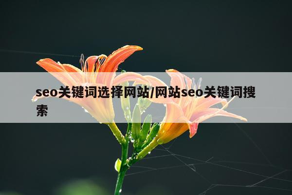 seo关键词选择网站/网站seo关键词搜索