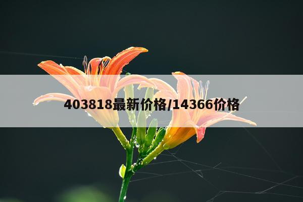 403818最新价格/14366价格