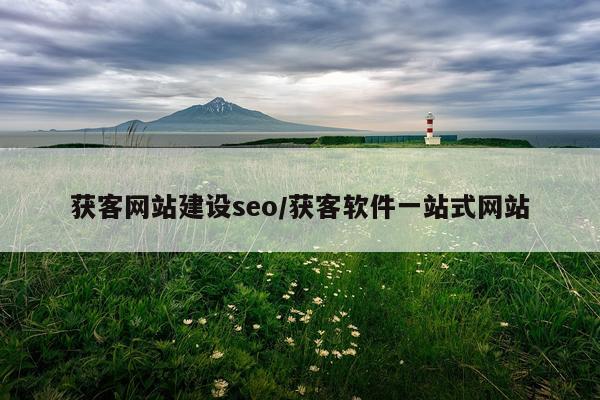 获客网站建设seo/获客软件一站式网站