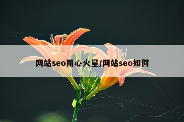 网站seo用心火星/网站seo如何