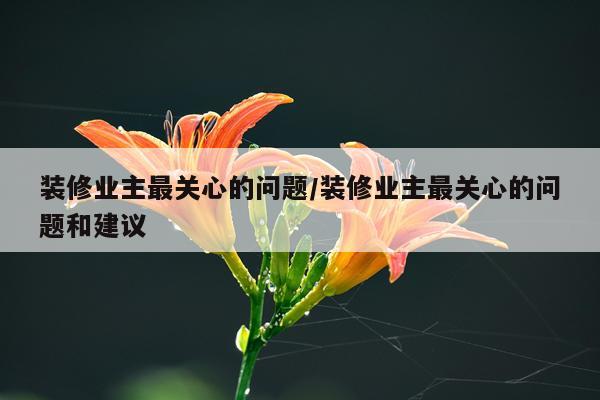 装修业主最关心的问题/装修业主最关心的问题和建议