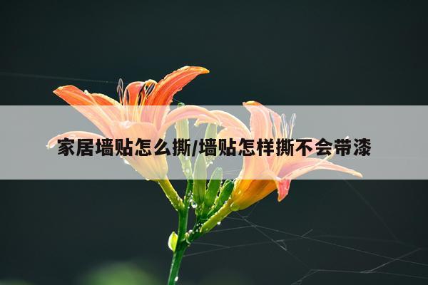 家居墙贴怎么撕/墙贴怎样撕不会带漆