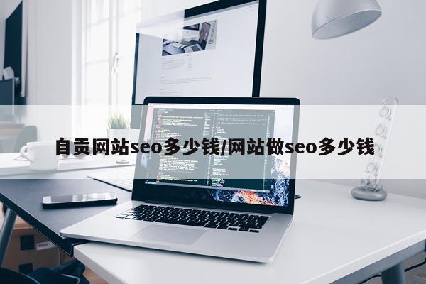 自贡网站seo多少钱/网站做seo多少钱