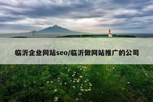 临沂企业网站seo/临沂做网站推广的公司
