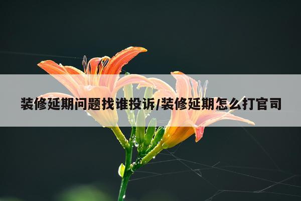 装修延期问题找谁投诉/装修延期怎么打官司
