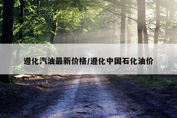 遵化汽油最新价格/遵化中国石化油价