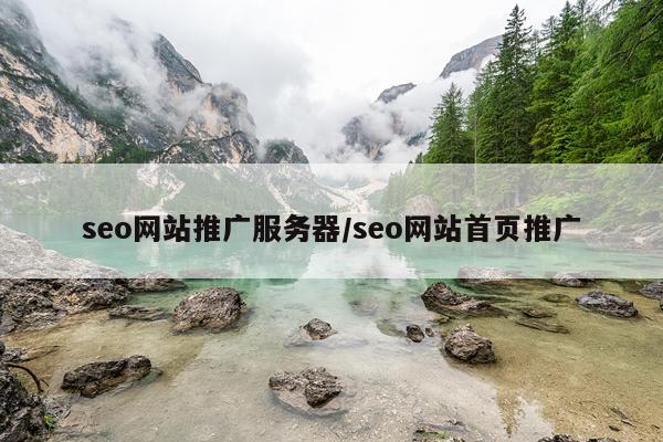 seo网站推广服务器/seo网站首页推广