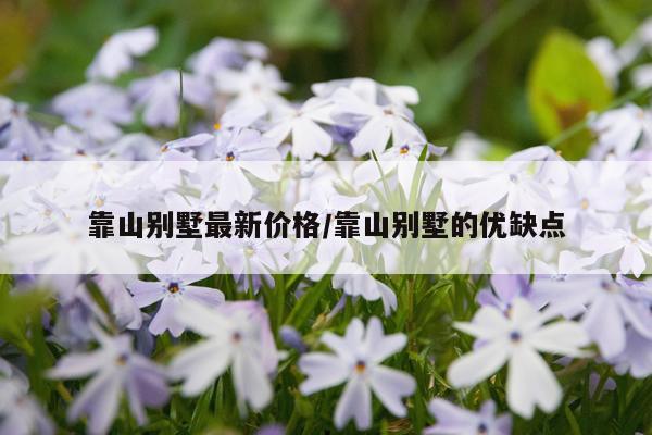 靠山别墅最新价格/靠山别墅的优缺点
