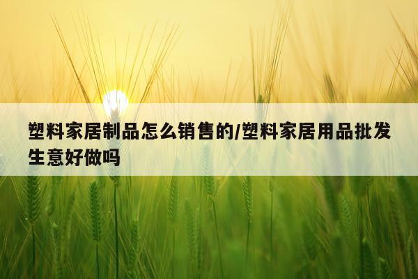 塑料家居制品怎么销售的/塑料家居用品批发生意好做吗