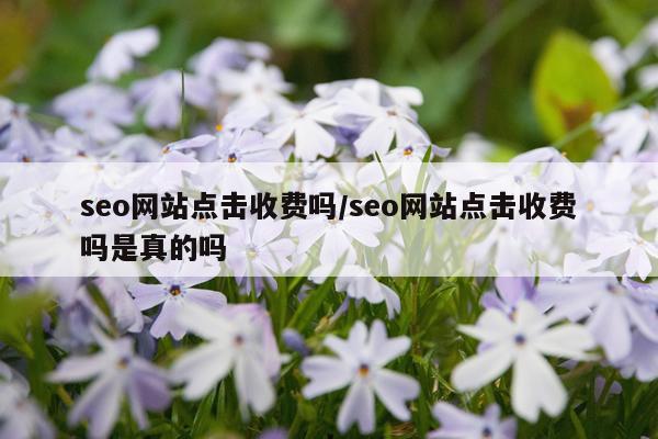 seo网站点击收费吗/seo网站点击收费吗是真的吗