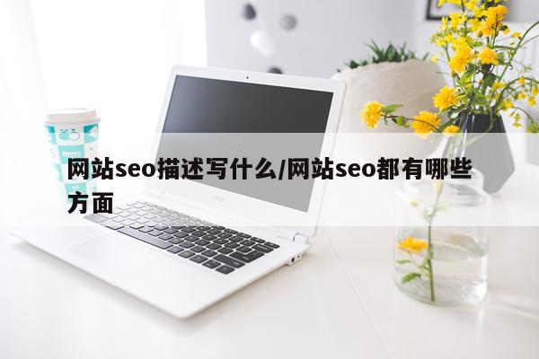 网站seo描述写什么/网站seo都有哪些方面