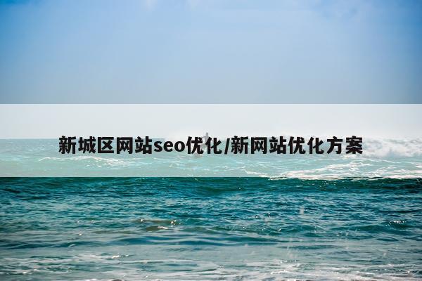 新城区网站seo优化/新网站优化方案