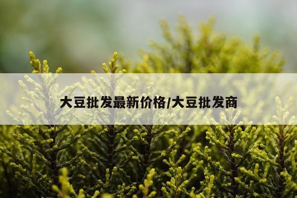 大豆批发最新价格/大豆批发商