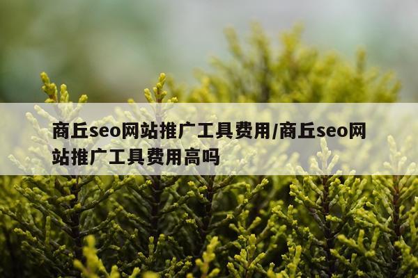 商丘seo网站推广工具费用/商丘seo网站推广工具费用高吗