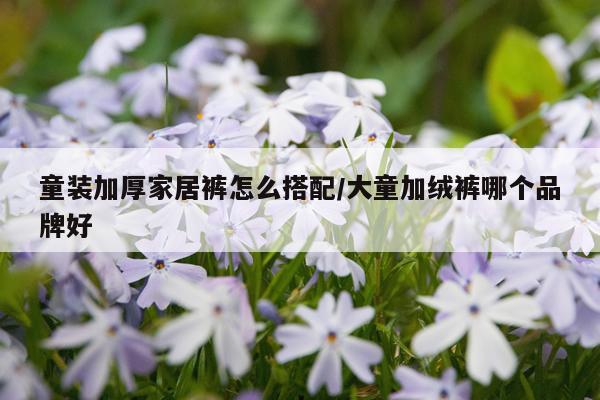 童装加厚家居裤怎么搭配/大童加绒裤哪个品牌好