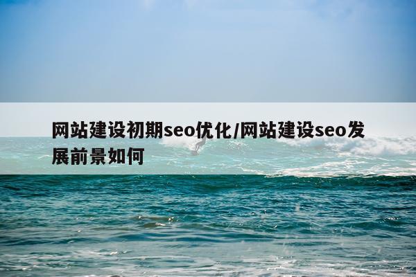 网站建设初期seo优化/网站建设seo发展前景如何