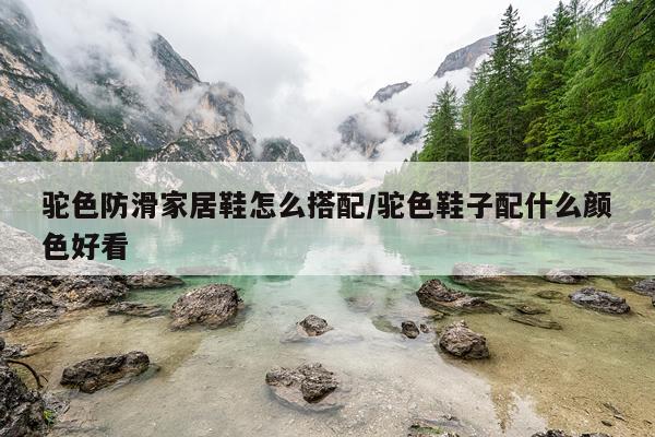 驼色防滑家居鞋怎么搭配/驼色鞋子配什么颜色好看