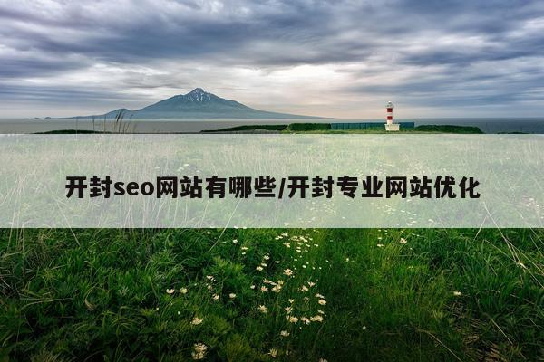 开封seo网站有哪些/开封专业网站优化
