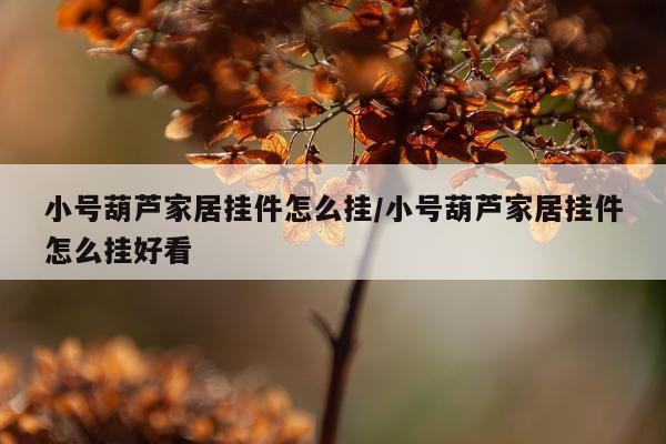 小号葫芦家居挂件怎么挂/小号葫芦家居挂件怎么挂好看