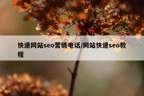 快速网站seo营销电话/网站快速seo教程