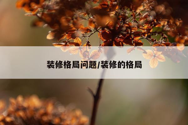 装修格局问题/装修的格局