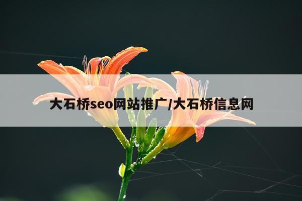 大石桥seo网站推广/大石桥信息网