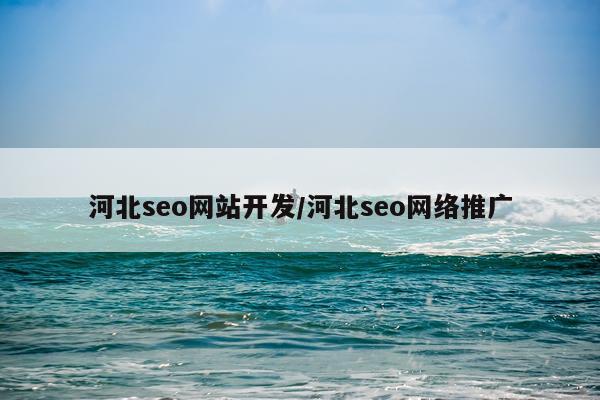 河北seo网站开发/河北seo网络推广