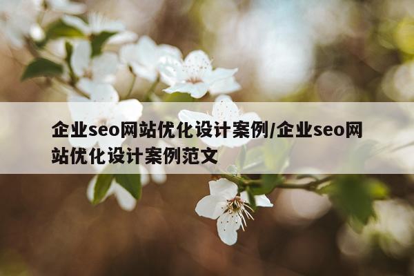 企业seo网站优化设计案例/企业seo网站优化设计案例范文