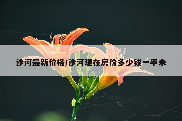 沙河最新价格/沙河现在房价多少钱一平米