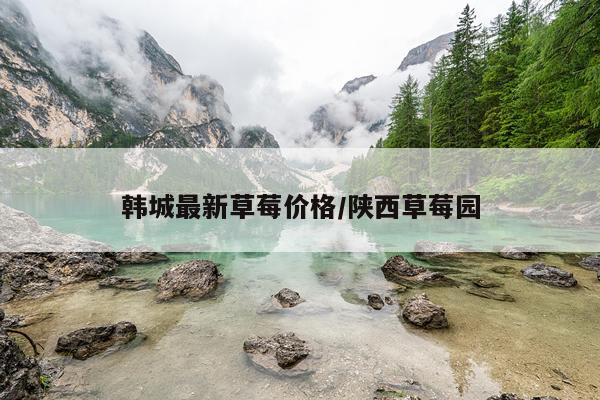 韩城最新草莓价格/陕西草莓园